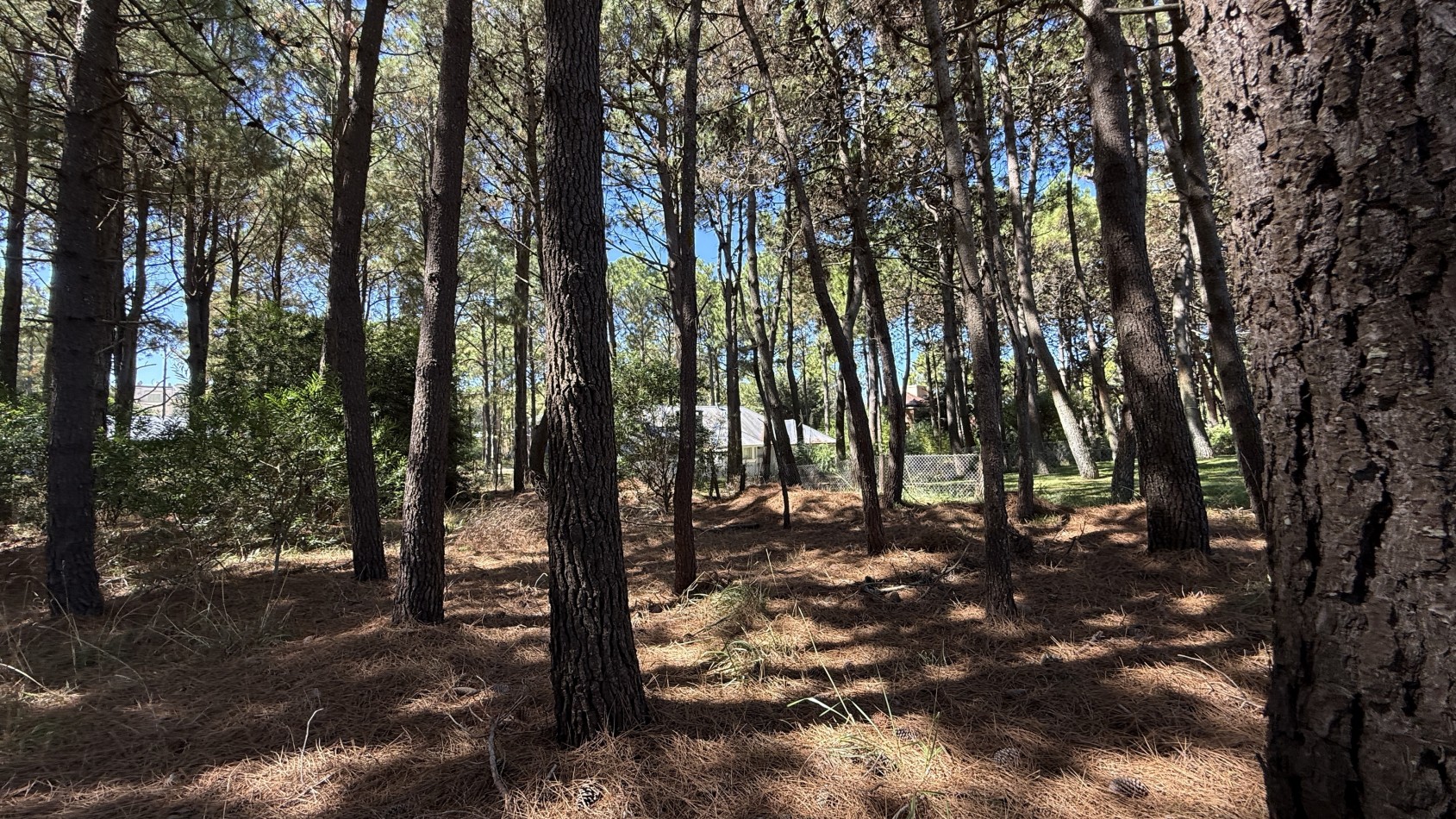 Lote en venta en Pinamar Norte