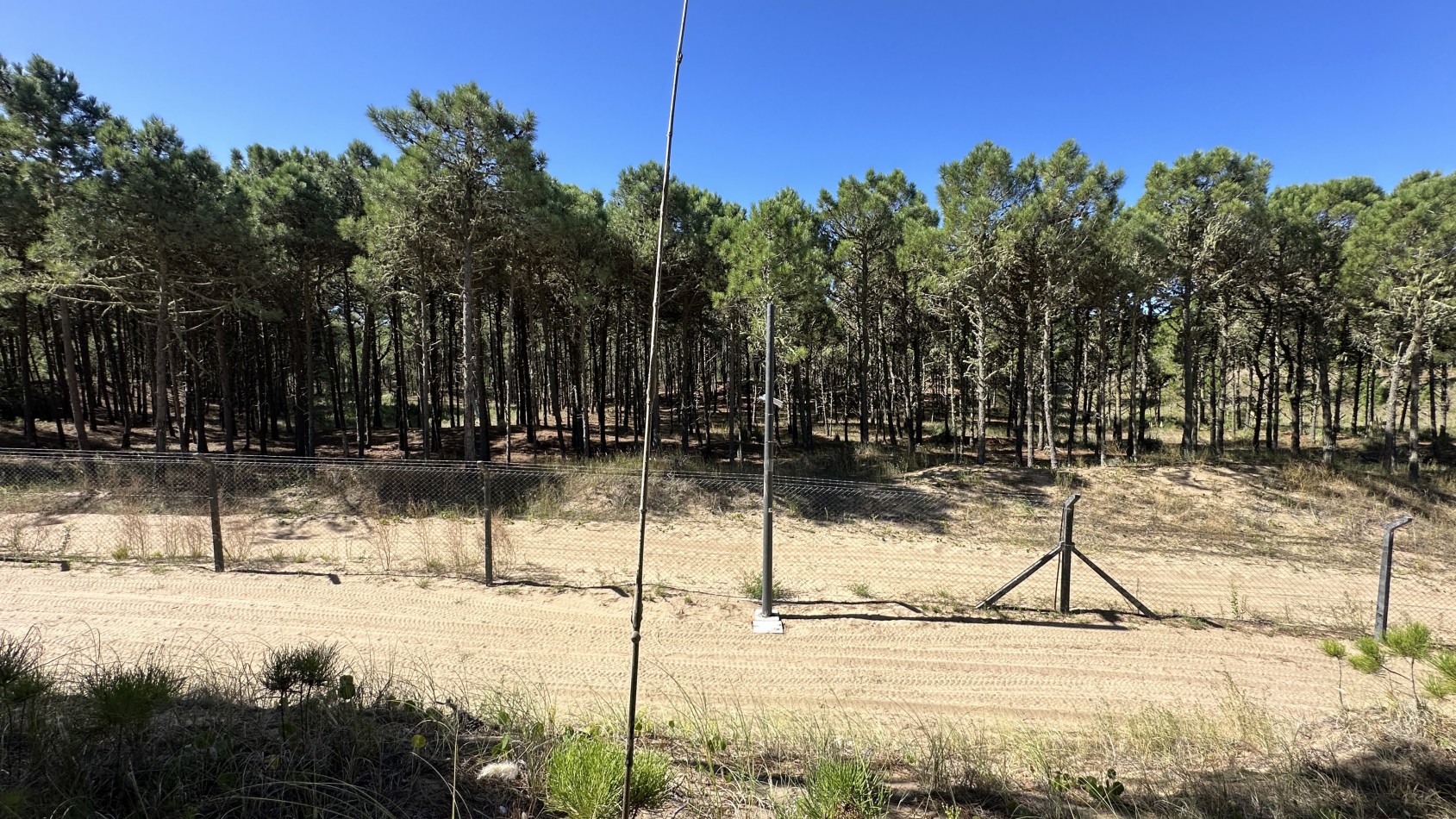 Lote en venta en Pinamar BOSQUES