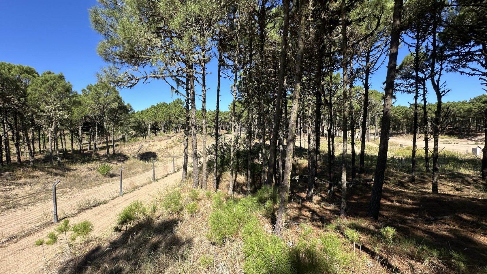 Lote en venta en Pinamar BOSQUES