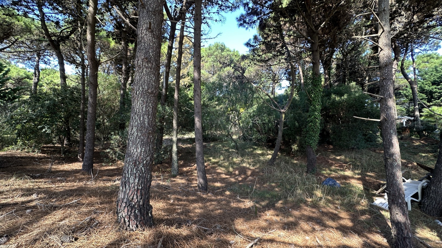 Lote en venta Pinamar Norte