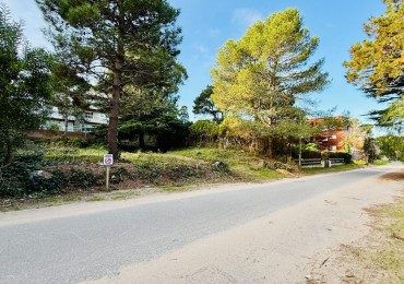 Lote Multifamiliar en Venta Pinamar - Zona Centro